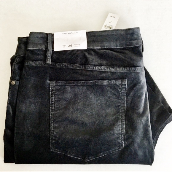 NWT Loft Plus Modern Velvet Ankle Zip Skinny - Picture 3 of 7